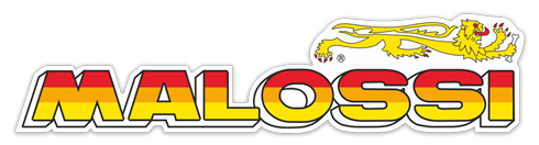 CONJUNTO VARIADOR STORM-S 300 (MALOSSI)